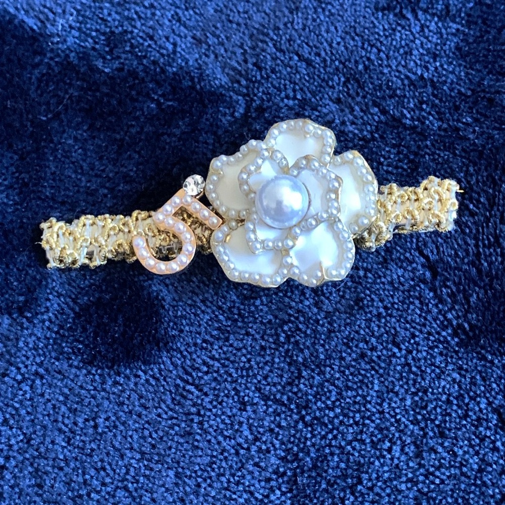🌺DESIGNER INSPIRED HAIR CLIP🌺